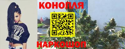 apvp Котовск