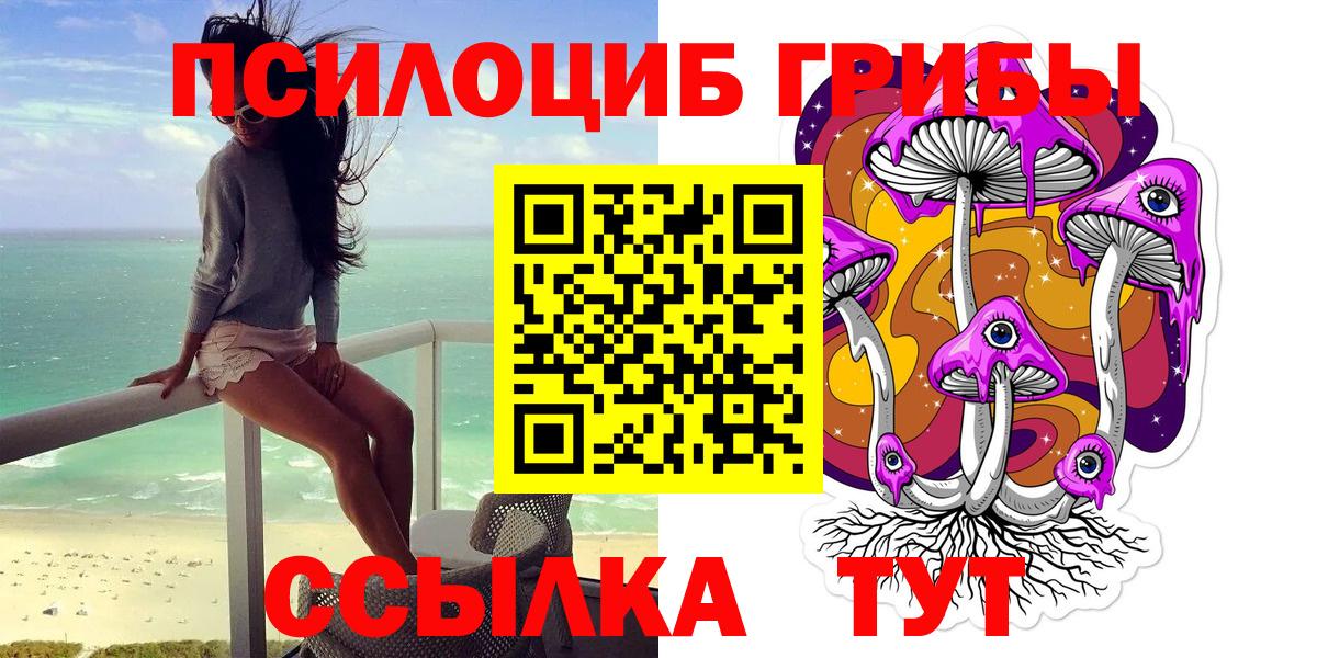 Ленинск-Кузнецкий  где найти   Вход с VPN  Галлюциногенные грибы Cubensis 